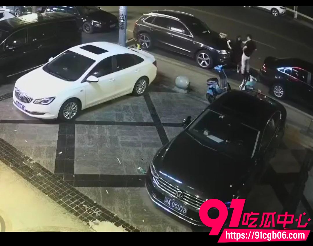 野鸳鸯男女当街野战监控视频曝光 男女辣眼表演做爱 醉酒女伴被扒衣趴车盖翘臀疯狂后入
