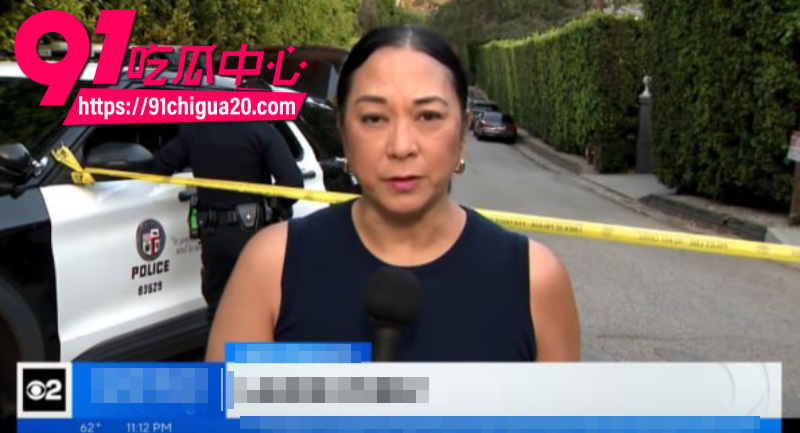 美国巨星蕾哈娜豪宅遭枪击8 美国巨星蕾哈娜豪宅遭枪击8