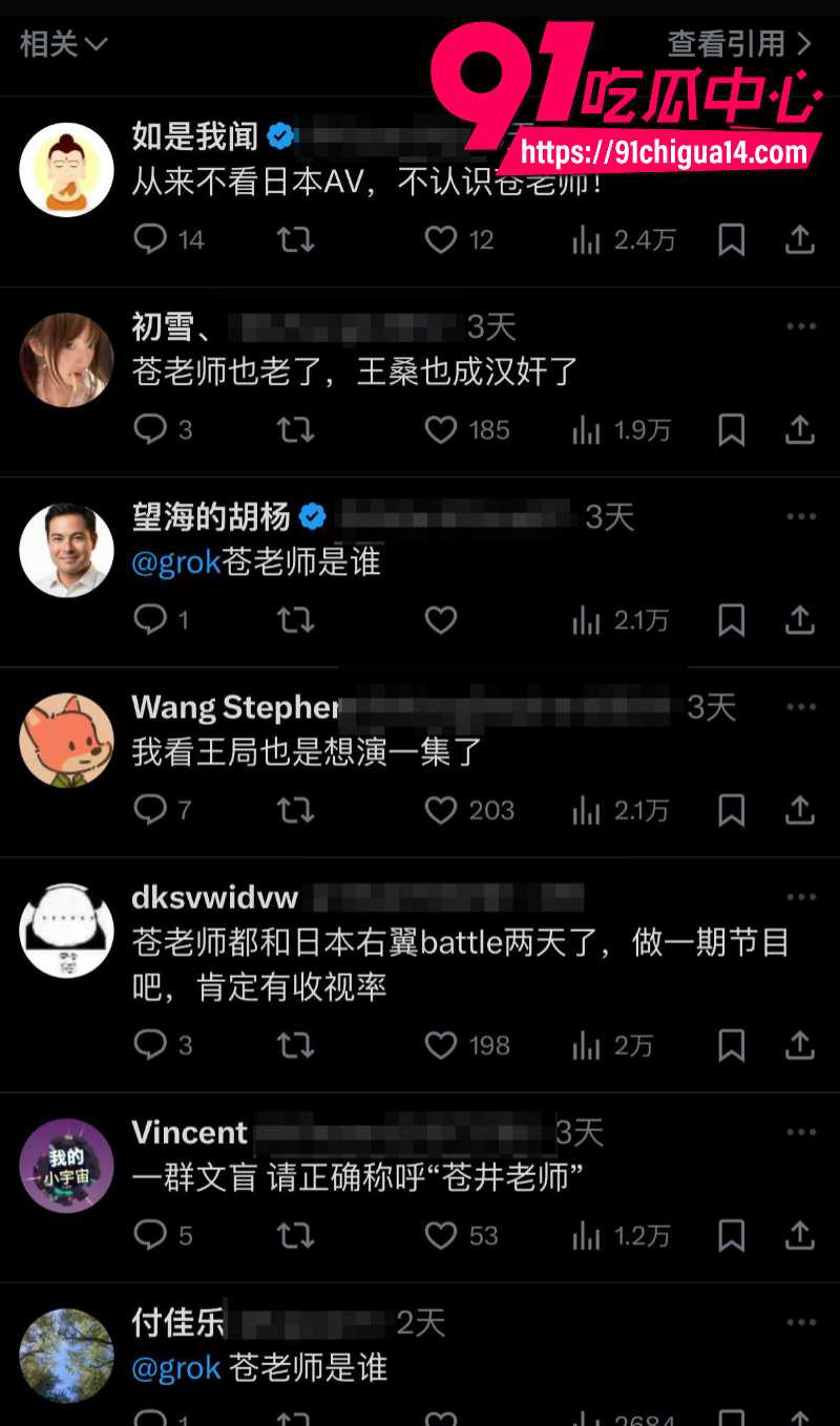 日本右翼网民骂苍井空老师就是一只中国狗9