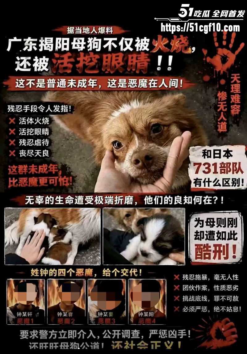 广东揭阳4人虐狗事件01