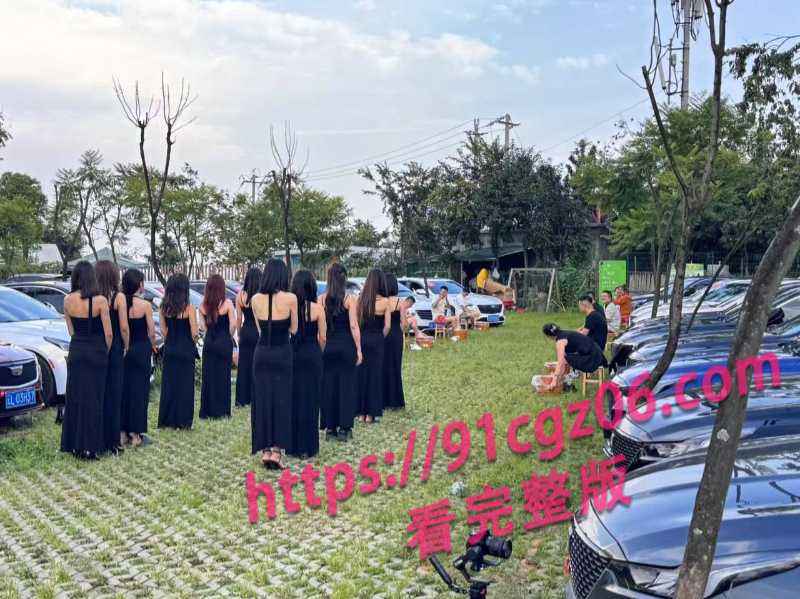 凯迪拉克车友会4素材水印版