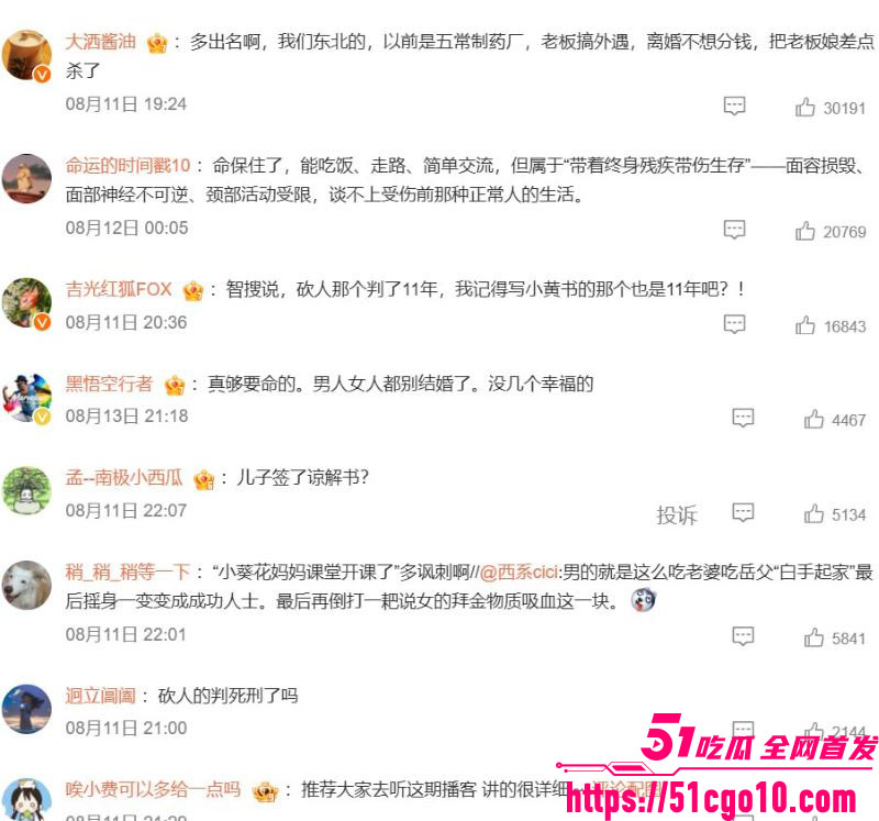 葵花药业关彦斌杀妻案 30 葵花药业关彦斌杀妻案 30
