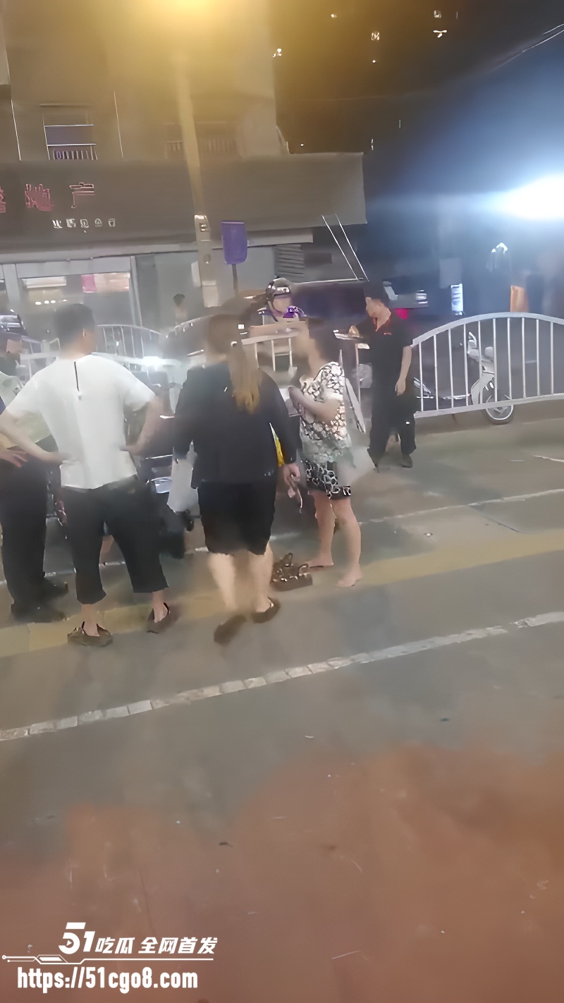 上海街头 原配与小三互殴 3 上海街头 原配与小三互殴 3