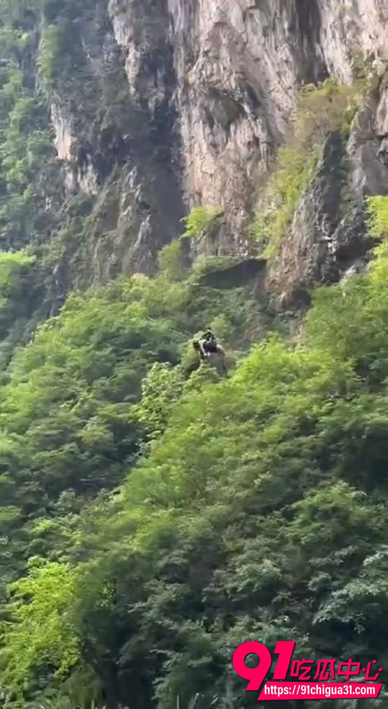 四川省华蓥市 9