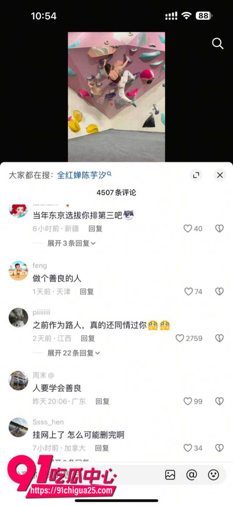 全红婵被骂肥羊28