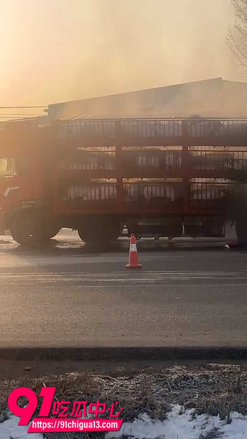 河南宝丰拉猪车高速起火数百头猪全被烤熟10