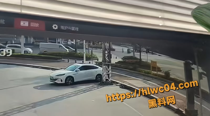广东潮州 鬼火少年载妹闯红灯撞翻轿车 精神小妹没戴头盔当场惨死