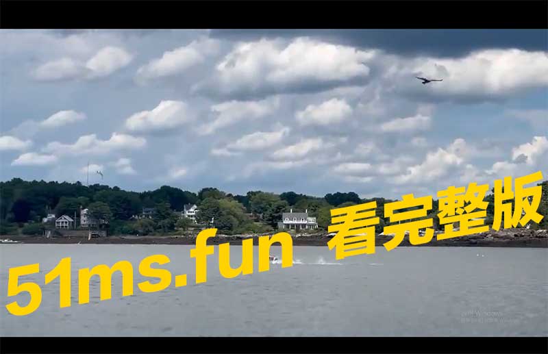 狗子2.jpg