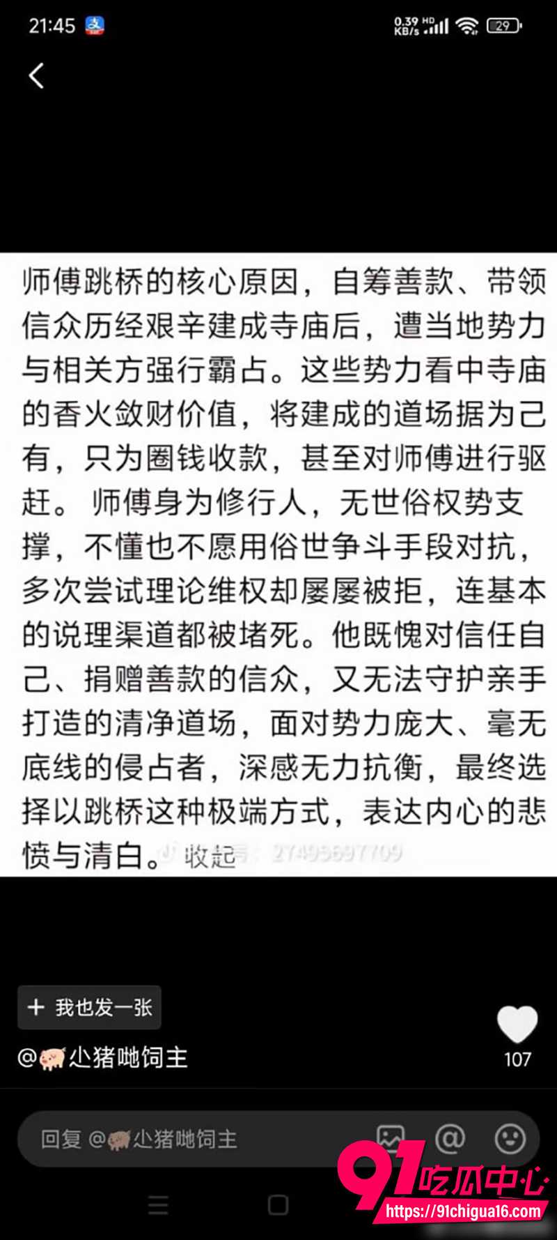 广东湛江佛门瓜  3