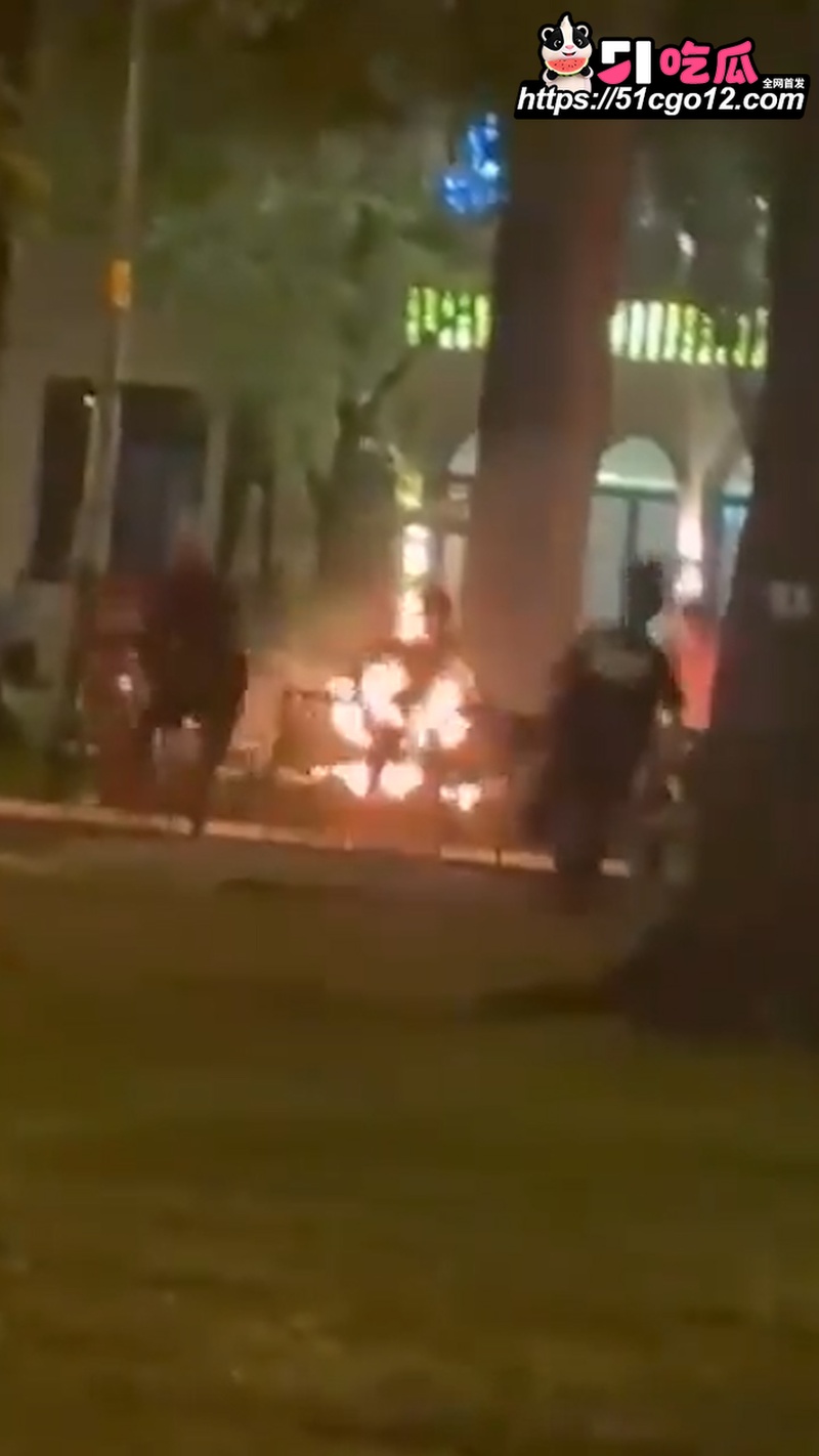 越南圣母大教堂自焚事件 7 越南圣母大教堂自焚事件 7