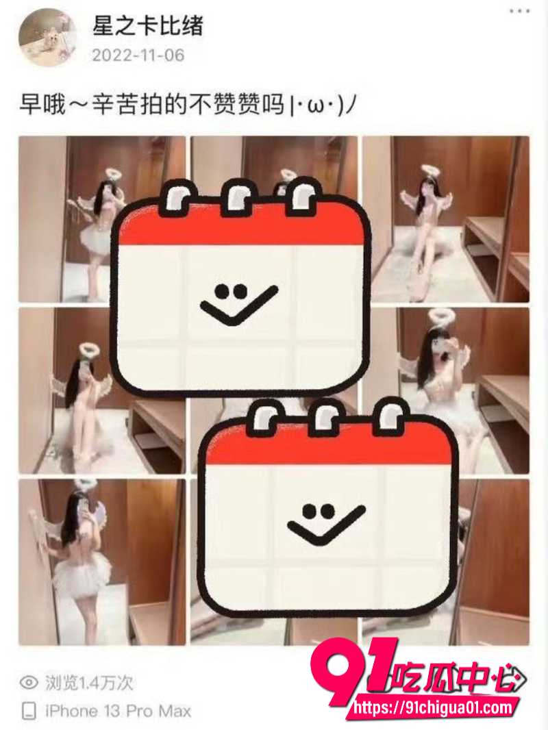 狼队道崽女友星之卡比11