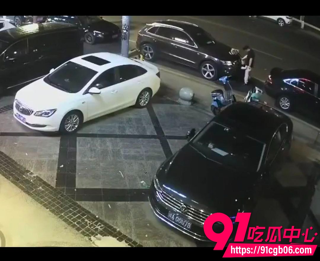 野鸳鸯精虫上脑路边车旁激情啪啪7