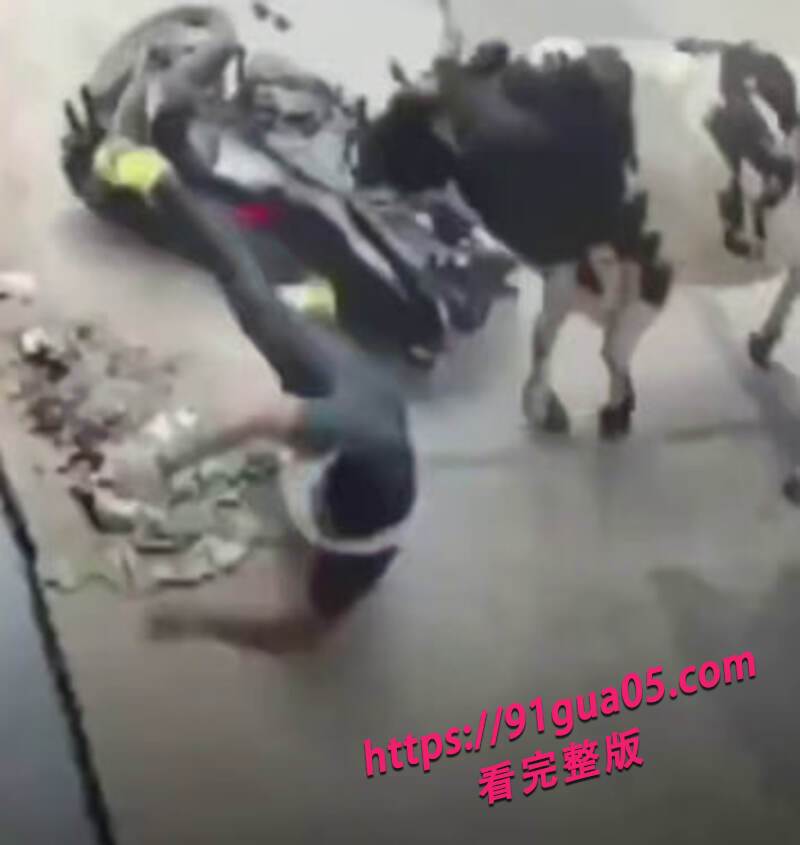 监控下的各种惊险画面02