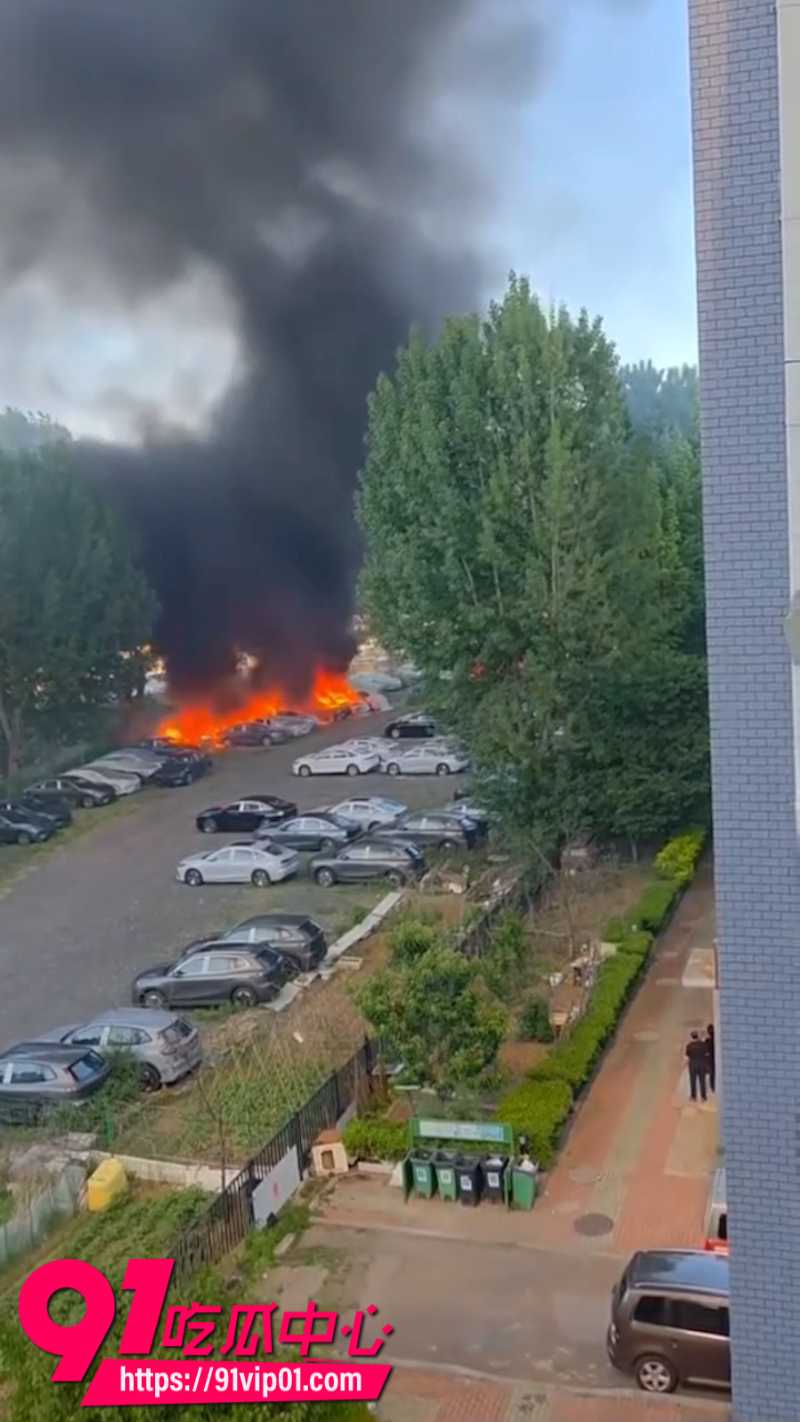 辽宁74岁老人嫌路边杨絮影响健身走步将其点燃导致20辆新能源汽车被烧毁5 辽宁74岁老人嫌路边杨絮影响健身走步将其点燃导致20辆新能源汽车被烧毁5