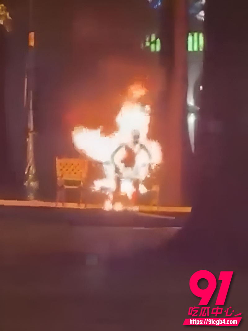 越南胡志明市公园自焚事件 2