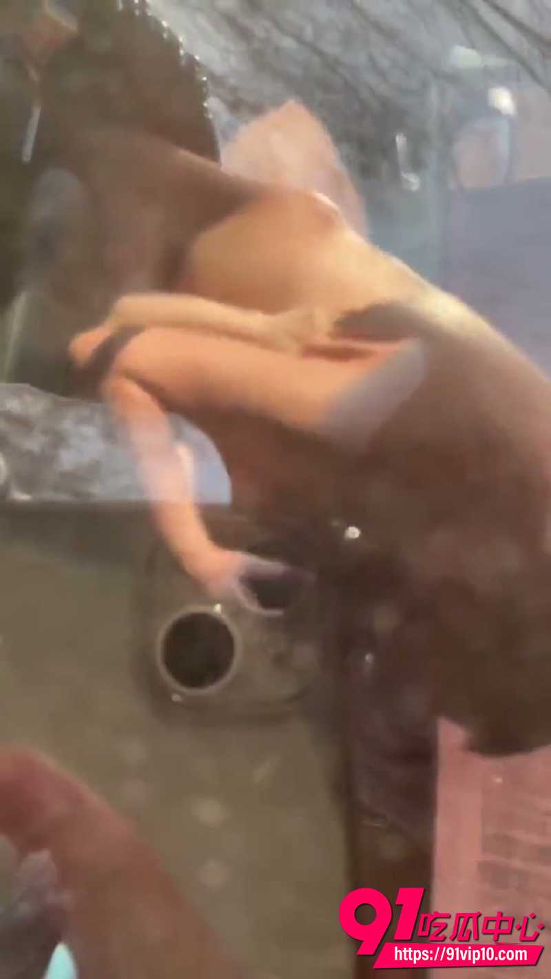 车震偷拍视频 5
