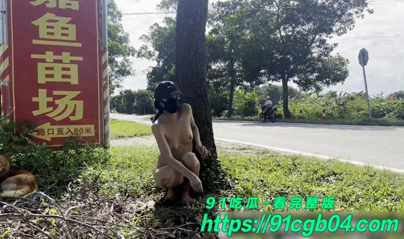 序列 2608.00262106 序列 2608.00262106