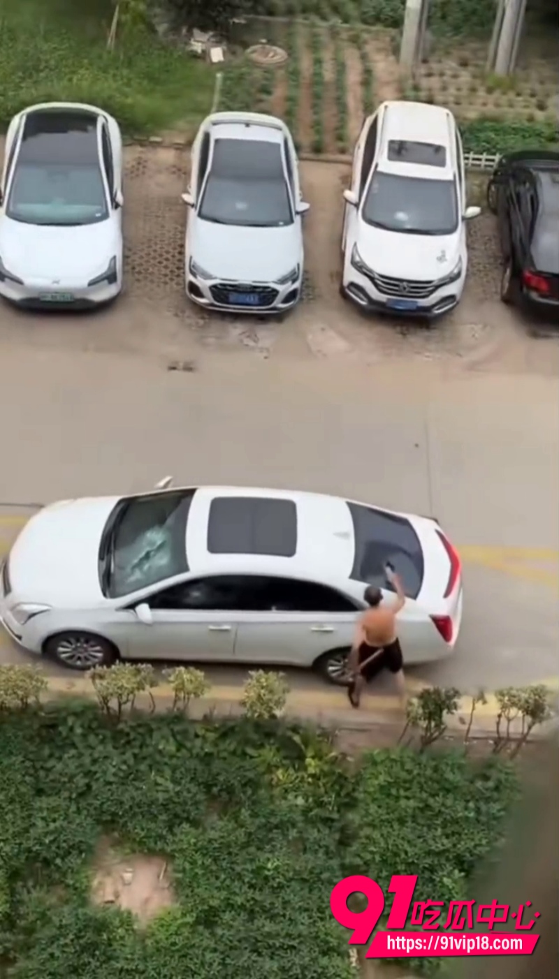 大爷砸车图片 1