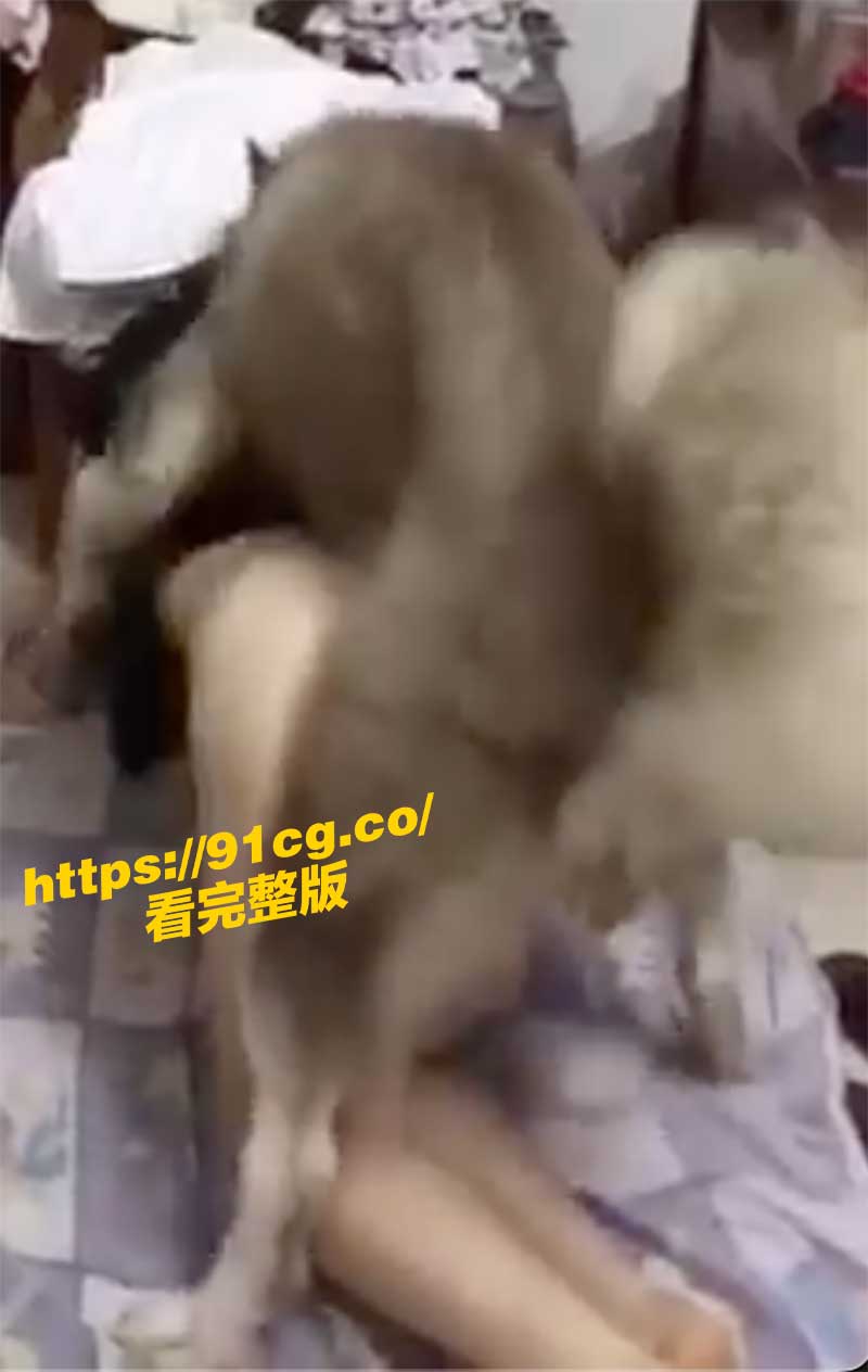 獸交4.jpg