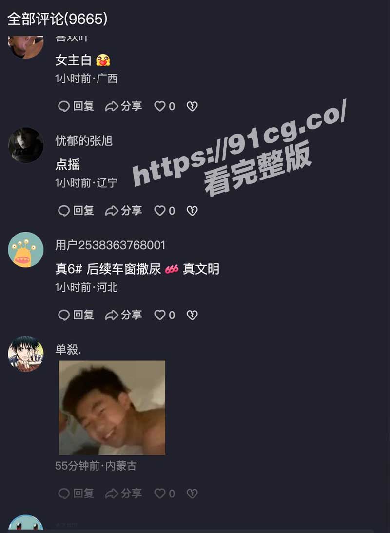 网有2.jpg