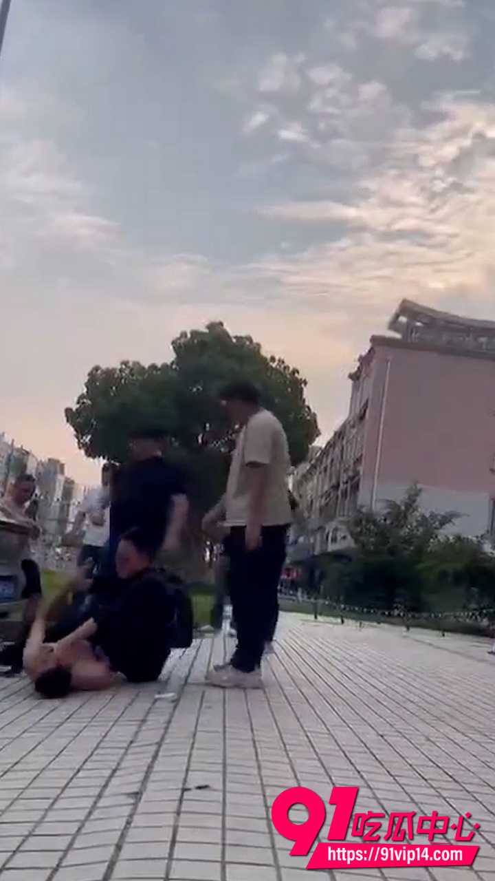 宠物碰瓷2 宠物碰瓷2