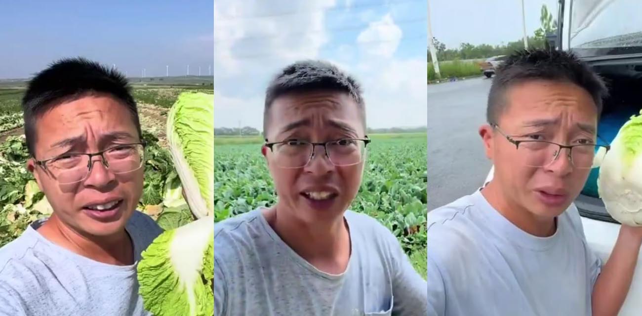 河北张家口甲醛白菜事件引发震动 博主渔猎齐哥暗访大白菜装车前蘸取甲醛保鲜内幕
