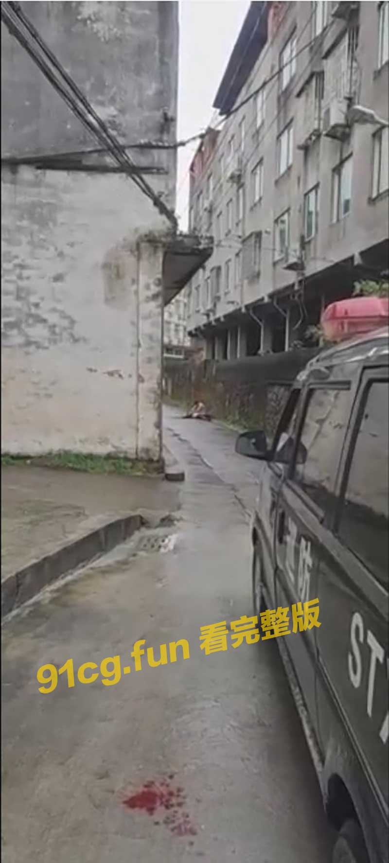 国产新闻 浙江平阳水头镇麻车路 一男子当街砍杀自己老父亲