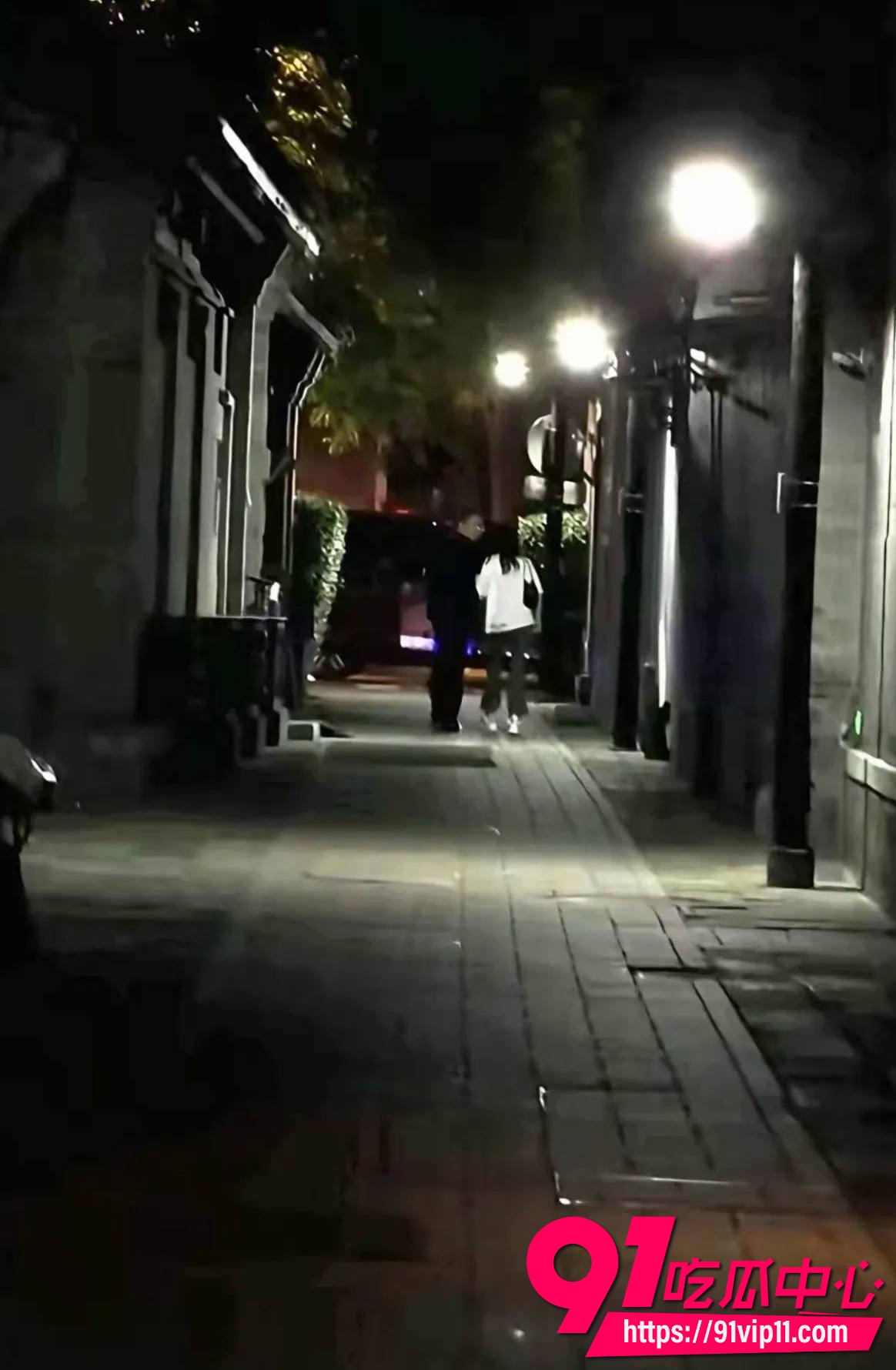 白鹿31