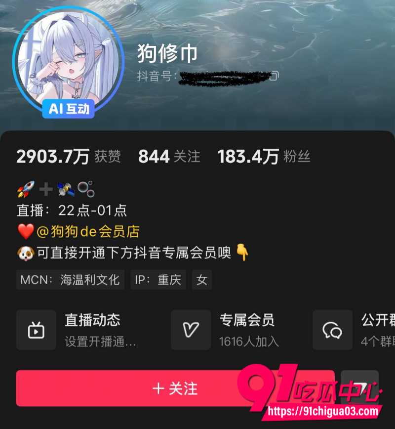 抖音百万粉丝网红狗修巾13
