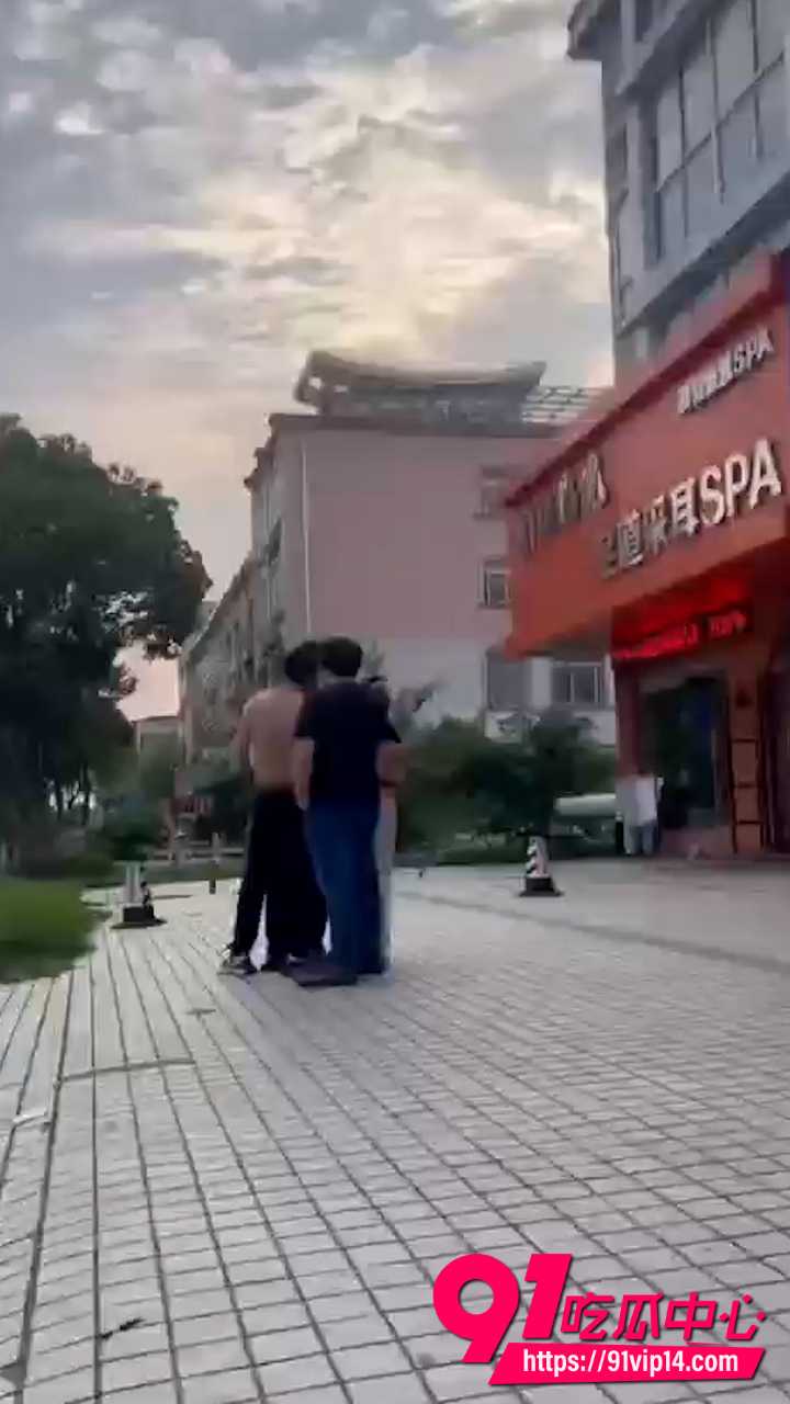 宠物碰瓷1 宠物碰瓷1