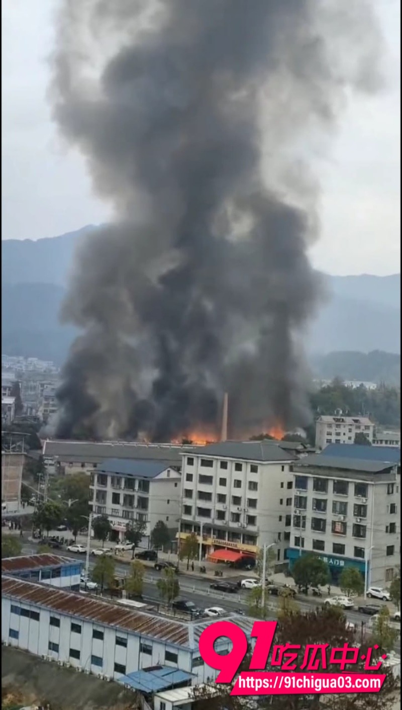株洲炎陵县一工厂发生火灾4