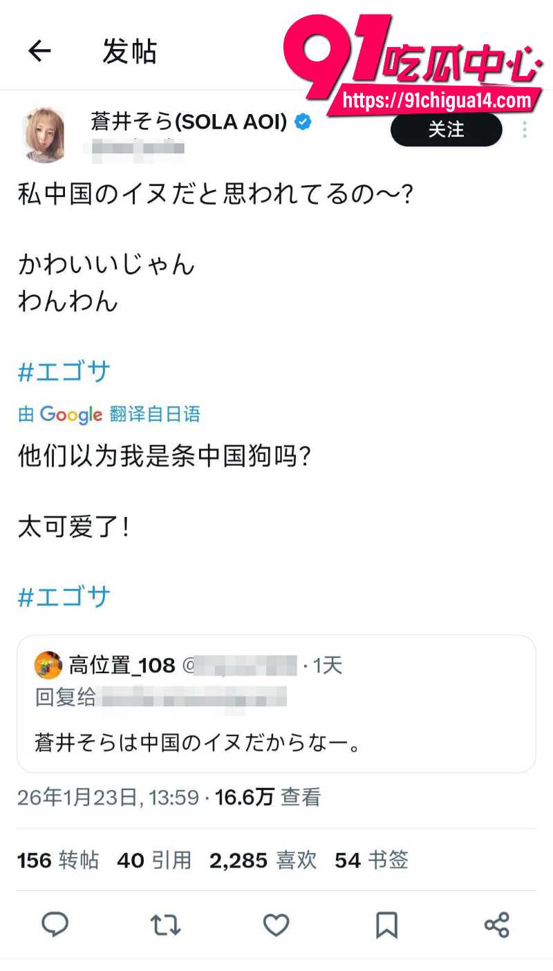 日本右翼网民骂苍井空老师就是一只中国狗6