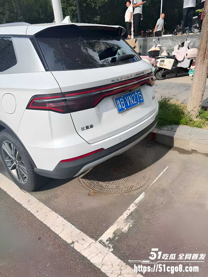 河南郑州男子无故砸车8 河南郑州男子无故砸车8
