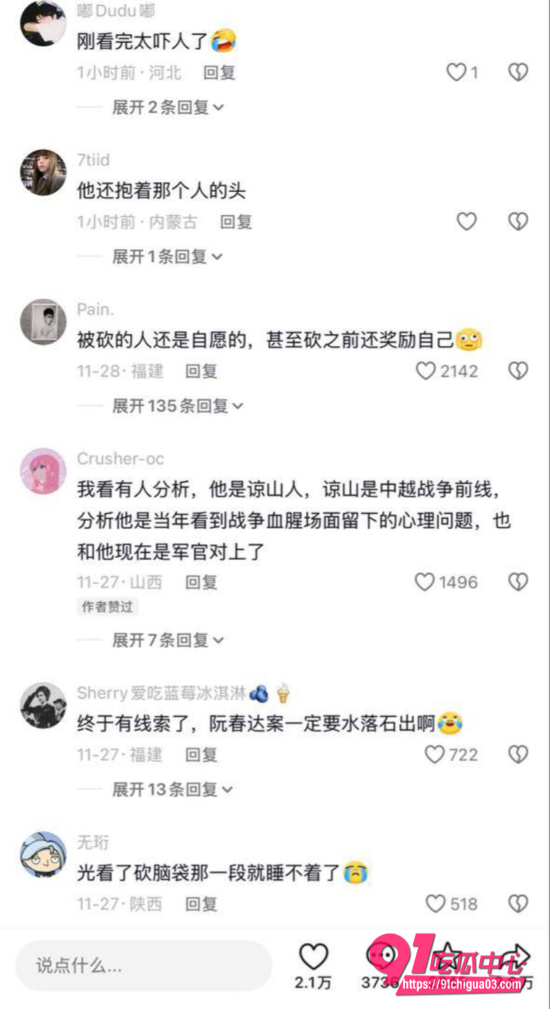 越南屠夫落网真实身份竟是高级军官24