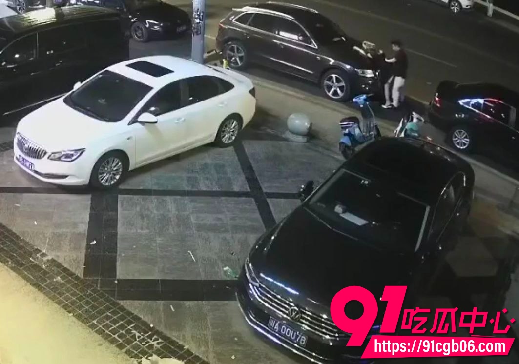 野鸳鸯精虫上脑路边车旁激情啪啪4