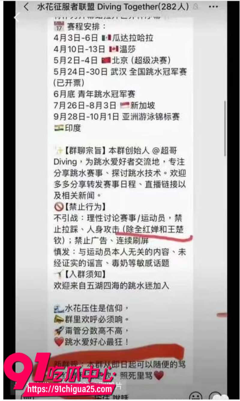 全红婵被骂肥羊4