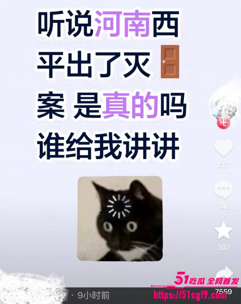 河南西平县重大刑案 27 河南西平县重大刑案 27
