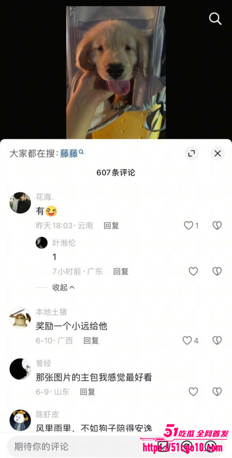 抖音网红 藤藤菜 涉嫌色情遭封号 3 抖音网红 藤藤菜 涉嫌色情遭封号 3