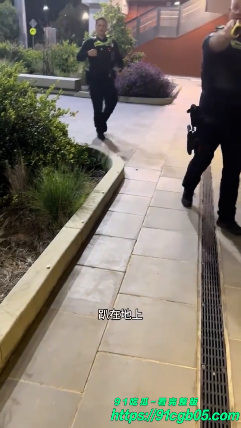 澳大利亚华裔留学生被警察暴揍网页素材2水印版 澳大利亚华裔留学生被警察暴揍网页素材2水印版