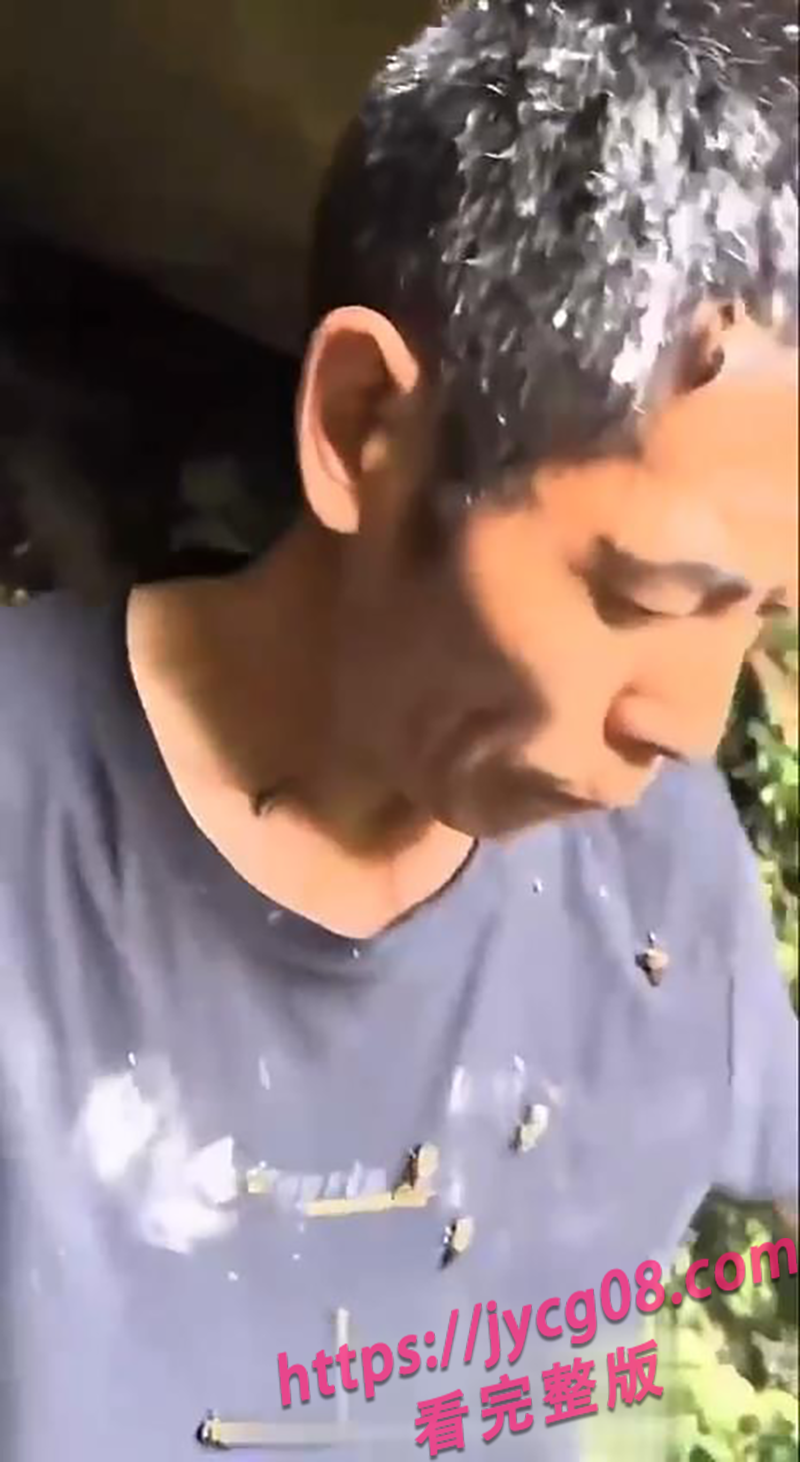 只打巅峰赛！云南老师傅蜂巢前狂秀操作 蜜蜂浴闪瞎人！ 配图5