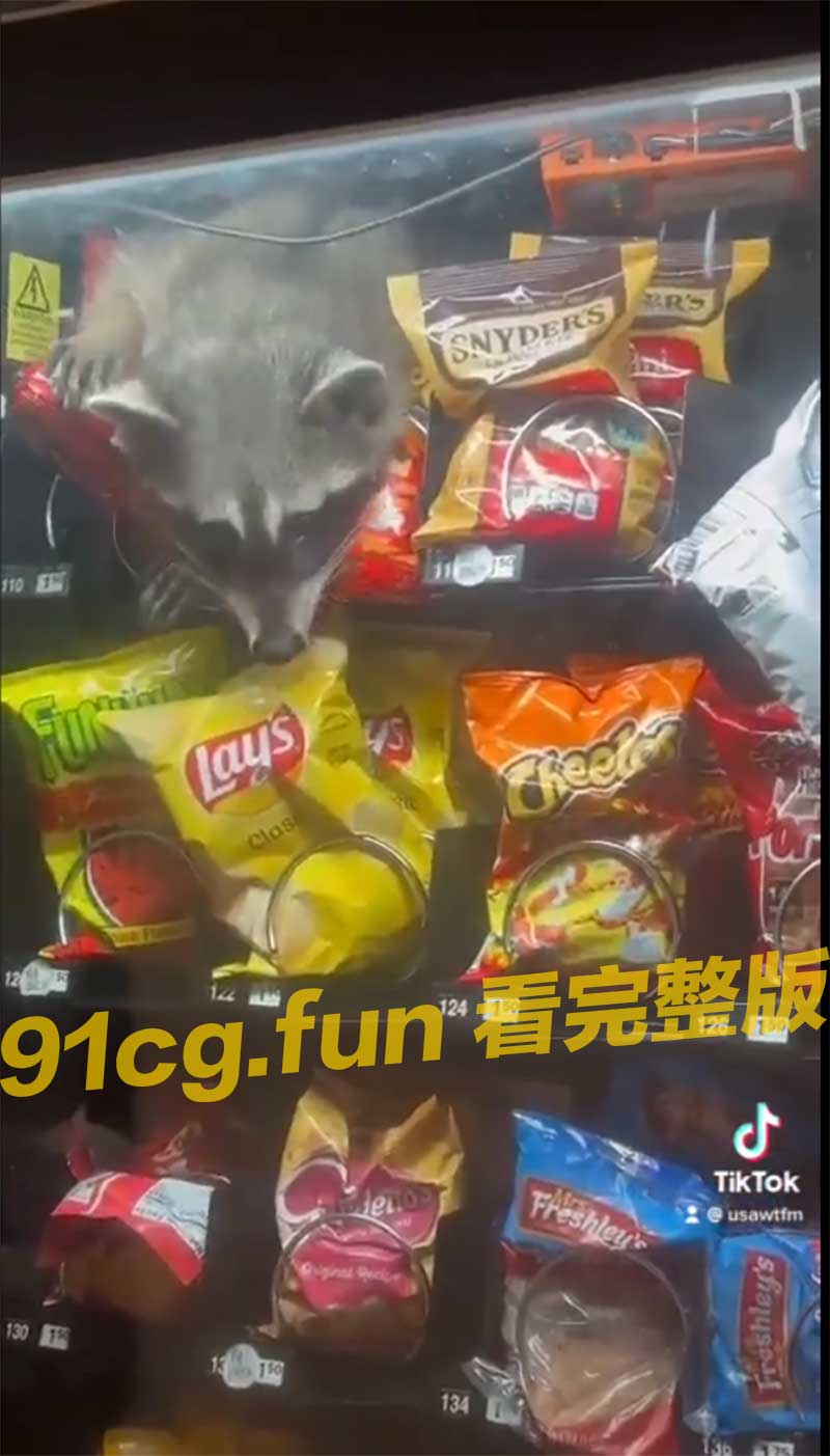 哪里来的小可爱 是怎么跑进去的呢