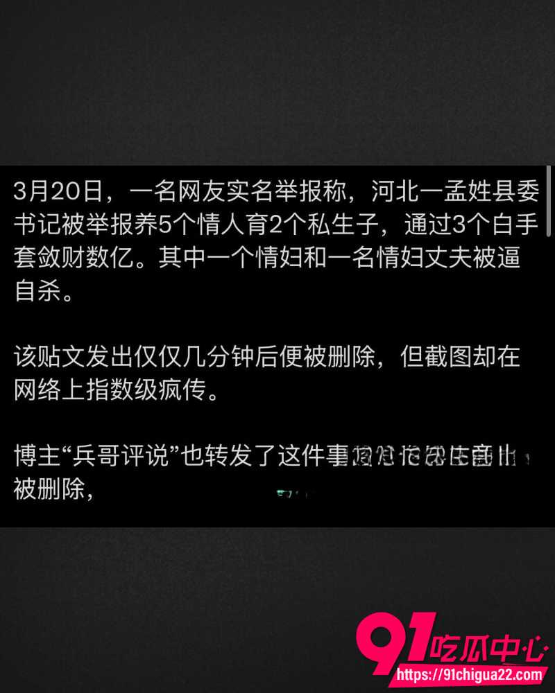 河北临西县委书记孟宪鹏遭实名举报 13 河北临西县委书记孟宪鹏遭实名举报 13